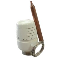 Galva V. vožtuvo termost. su davikliu 60C