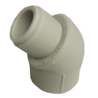 Pusalkūnė P. d20 v/i