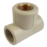 Trišakis P. d20-1/2 vid.