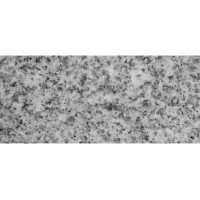Granite edging G603 110x600x10mm