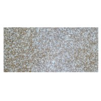 Granito plytelės G664