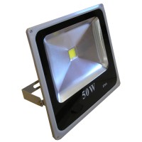 Action! Lamp LED outdoor F1203 50W