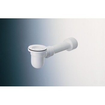 Sifonas plautuvei SBN