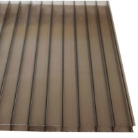 Polikarbonatas bronza-pilkas 10mm įvairių dydžių