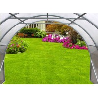 Promotion! Greenhouse tunnel 6m long with polycarbonate cover (both ends open)