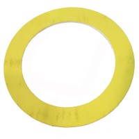 Gasket for F. flanges d80