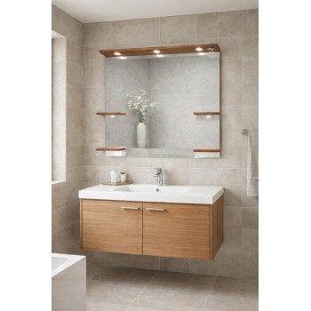 Mirror F1000831 with shelves and lighting