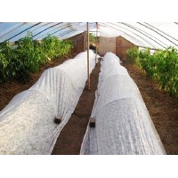 Agro cover white 21 gr. 3.2m