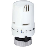 Galva termostatinė 303