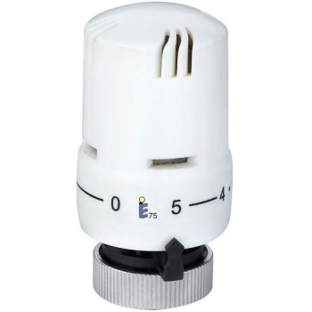 Galva termostatinė 303 Galva termostatinė 303