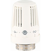 Galva termostatinė 317