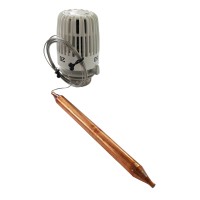 Galvutė K. 20-50C, daviklis 2m (5)