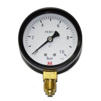 Manometras S 1/4 0-10bar status