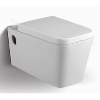 The toilet is suspended in 2003E The toilet is suspended in 2003E