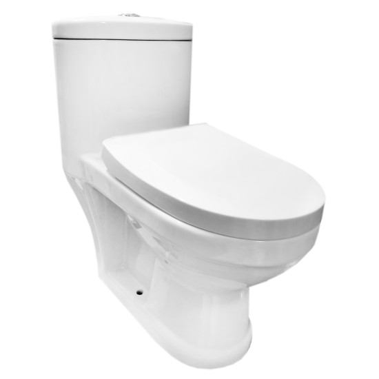 Children's toilet 2011