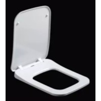 Tualetes vāks 2170A