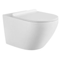 Wall-hung toilet 3423