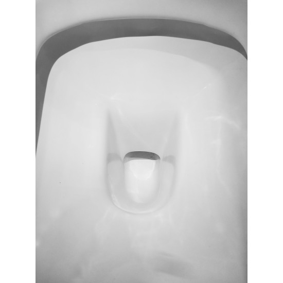 Sale! Wall-hung toilet 869WH
