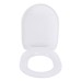 Toilet seat DU21 slow