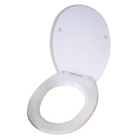 Cover of the toilet MA-021AW
