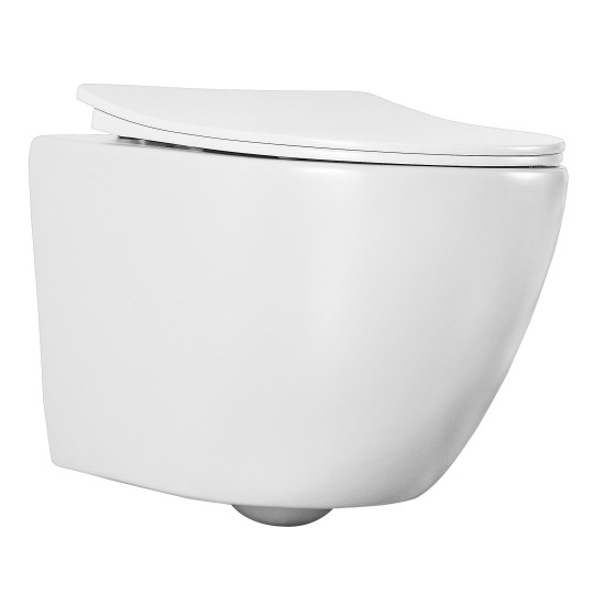 Wall-hung toilet FOCUS 391 RIMLESS