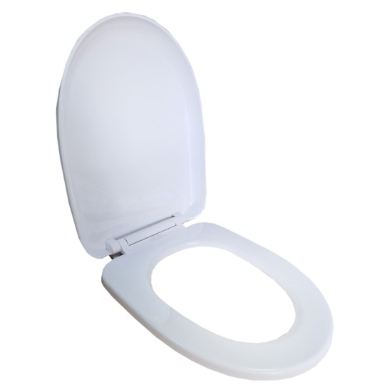 Toilet lid T1076