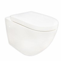 The toilet is hung 6005