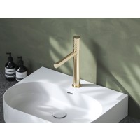 RV 014A.60CH Praustuvo maišytuvas 285 mm be dugno vožtuvo, spalva champagne